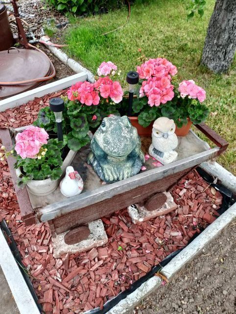 Działka rekreacyjna Ostrów Wielkopolski Zębców, ul. Wrocławska. Zdjęcie 2