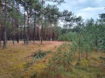 Działka budowlana Zbrzyca. Zdjęcie 2