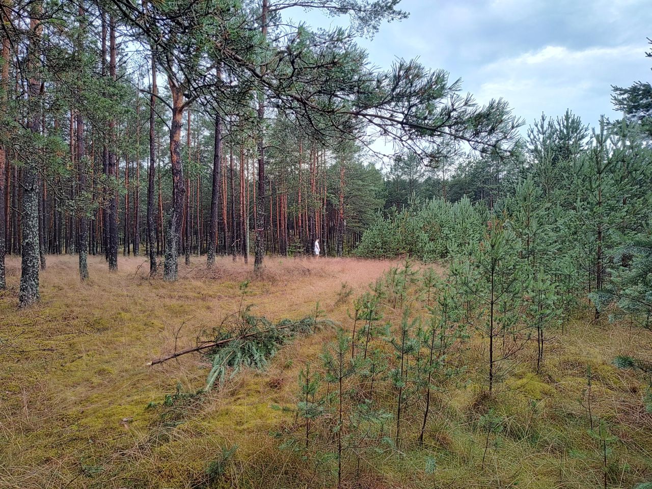 Działka budowlana Zbrzyca. Zdjęcie 3