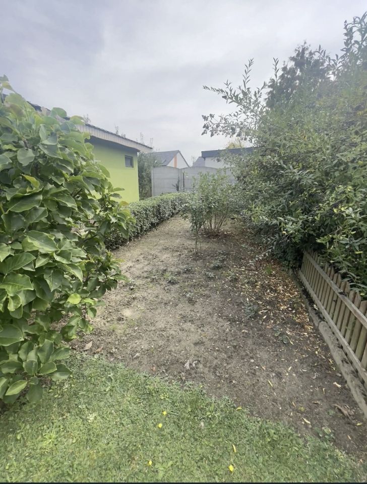 Działka rod Gostyń. Zdjęcie 7