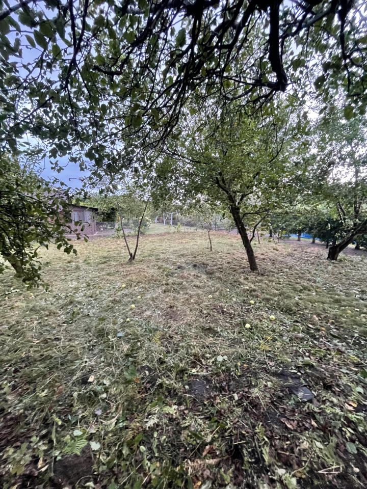 Działka rod Płońsk, ul. Szkolna. Zdjęcie 6