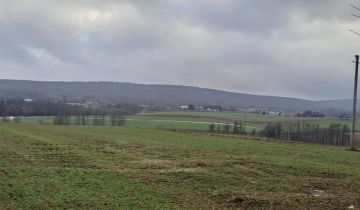 Działka rolno-budowlana Truskolasy