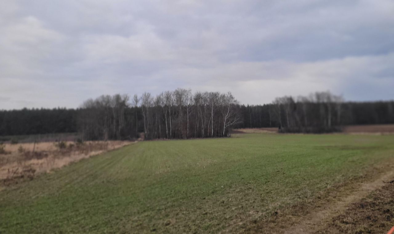 Działka rolno-budowlana Petrykozy, ul. Pogodna. Zdjęcie 4