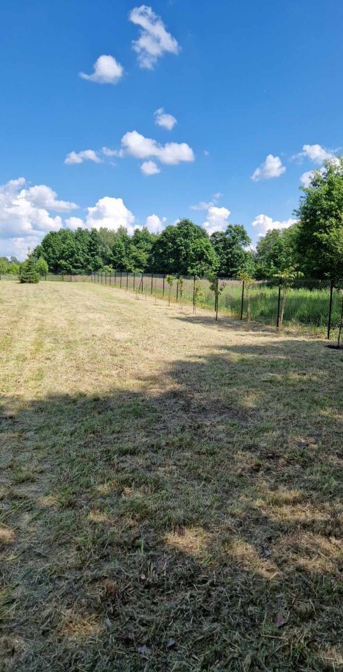 Działka rolna Podgłębokie. Zdjęcie 4