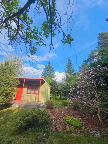 Działka rod Bydgoszcz. Zdjęcie 1