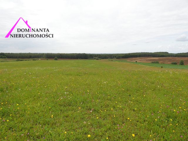 Działka rolna Gronowo. Zdjęcie 16