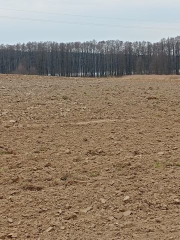 Działka rolno-budowlana Przybiernów, al. Wojska Polskiego. Zdjęcie 1