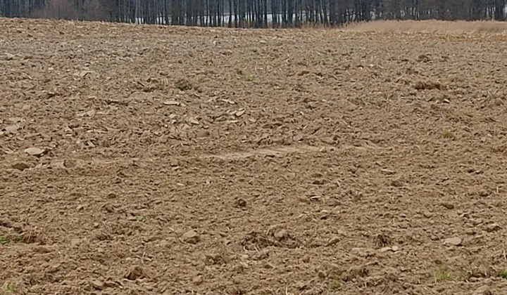 Działka rolno-budowlana Przybiernów, al. Wojska Polskiego