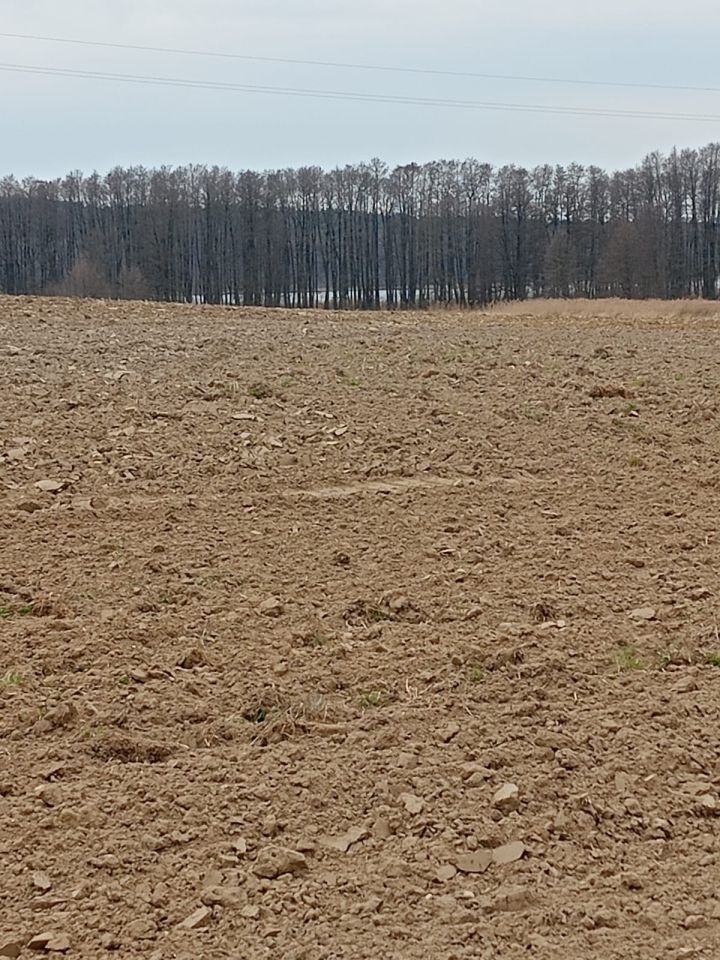 Działka rolno-budowlana Przybiernów, al. Wojska Polskiego. Zdjęcie 1