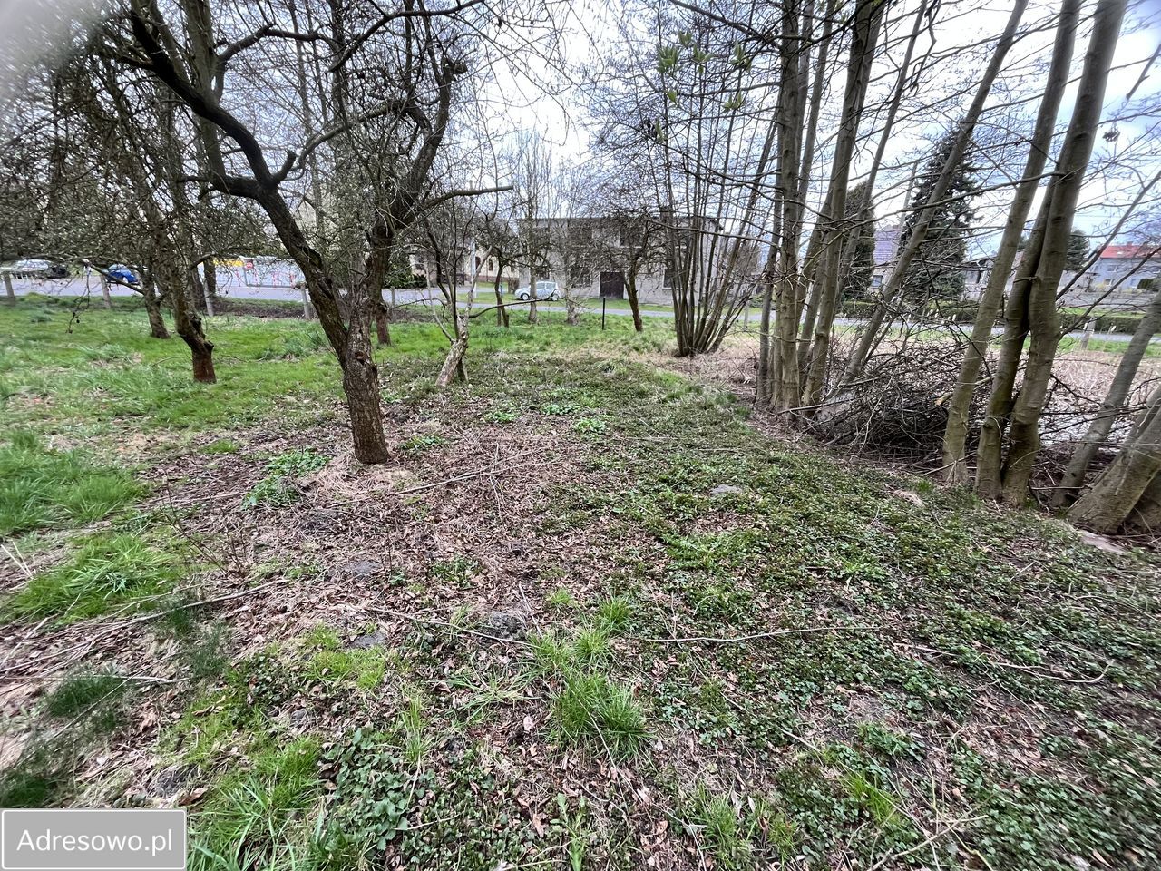 Działka inwestycyjna Żernica, ul. Powstańców Śląskich. Zdjęcie 14