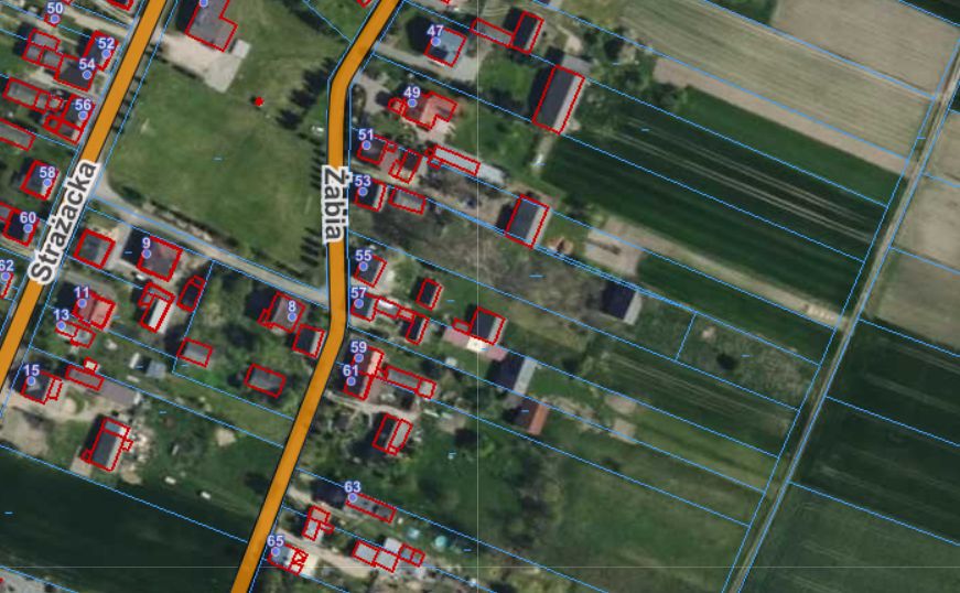 dom wolnostojący, 3 pokoje Dworszowice Kościelne, ul. Żabia. Zdjęcie 3