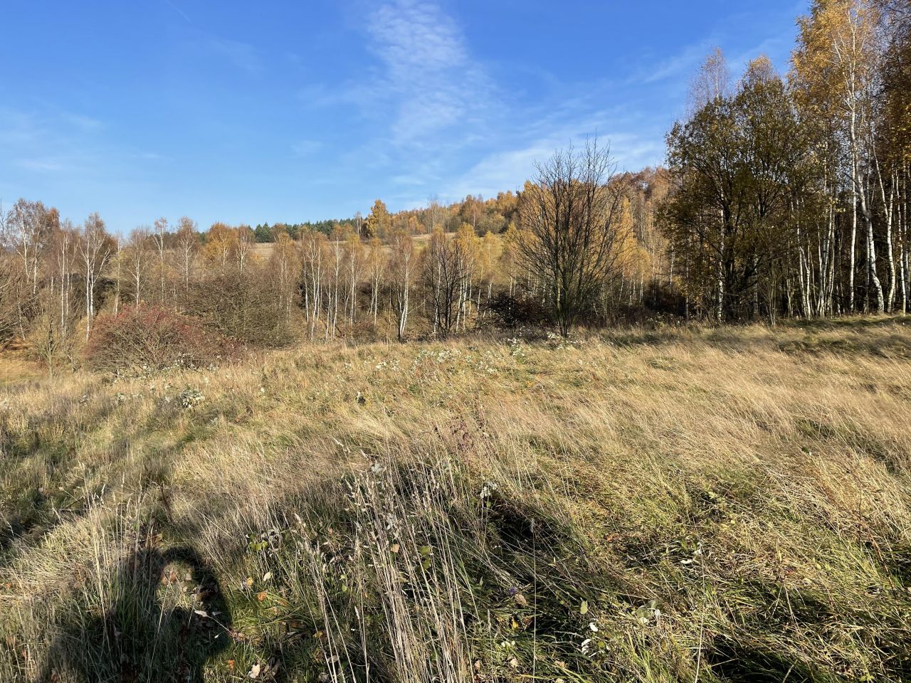 Działka siedliskowa Ptaszków. Zdjęcie 9