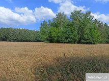 Działka rolna Budno. Zdjęcie 3