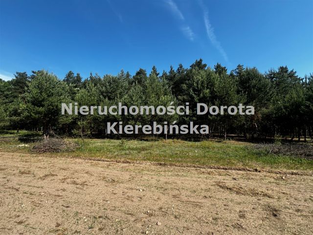 Działka rolna Stefanów. Zdjęcie 12
