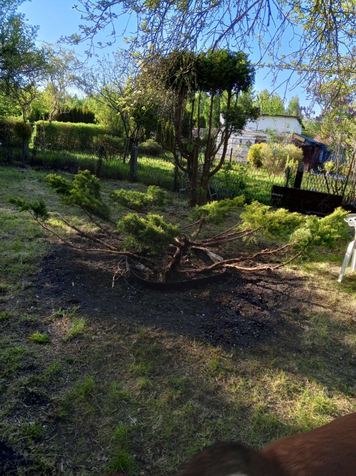 Działka rod Częstochowa Dźbów. Zdjęcie 4