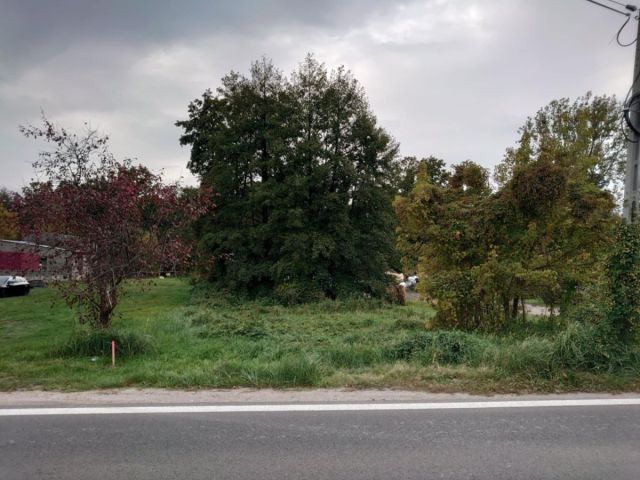 Działka budowlana Korytów, ul. Główna. Zdjęcie 3