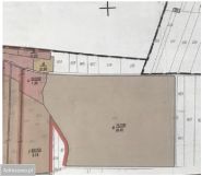 Działka leśna Bedlno. Zdjęcie 3