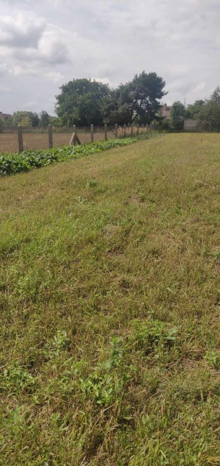 Działka budowlana Przygodzice, ul. Wincentego Witosa. Zdjęcie 5