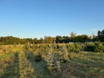 Działka rolno-budowlana Grądy, ul. 3 Maja. Zdjęcie 3