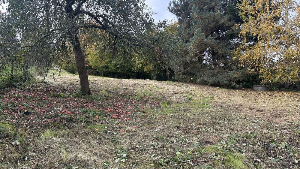 dom wolnostojący Owsiszcze, ul. Opawska. Zdjęcie 8