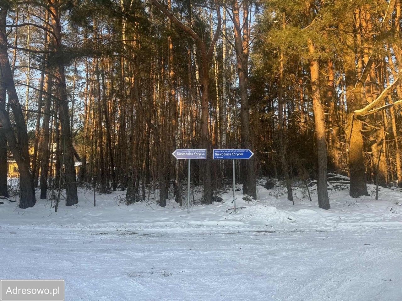 Działka budowlana Niewodnica Korycka, ul. Piaskowa. Zdjęcie 3