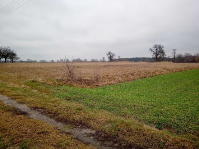 Działka budowlana Rogóźno. Zdjęcie 1