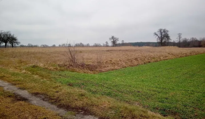 Działka budowlana Rogóźno