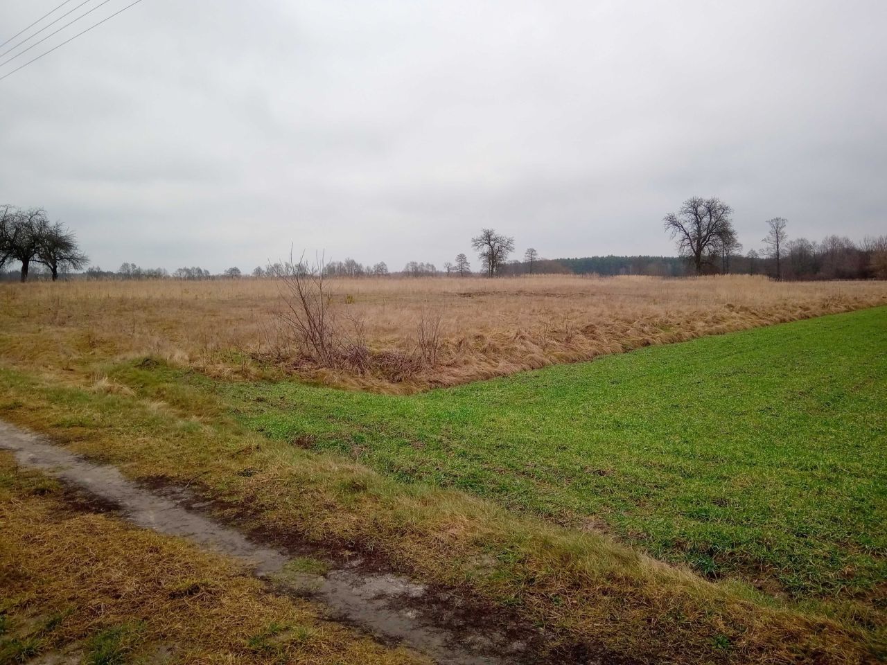 Działka budowlana Rogóźno. Zdjęcie 1