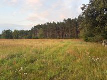 Działka rolno-budowlana Podlesie. Zdjęcie 2
