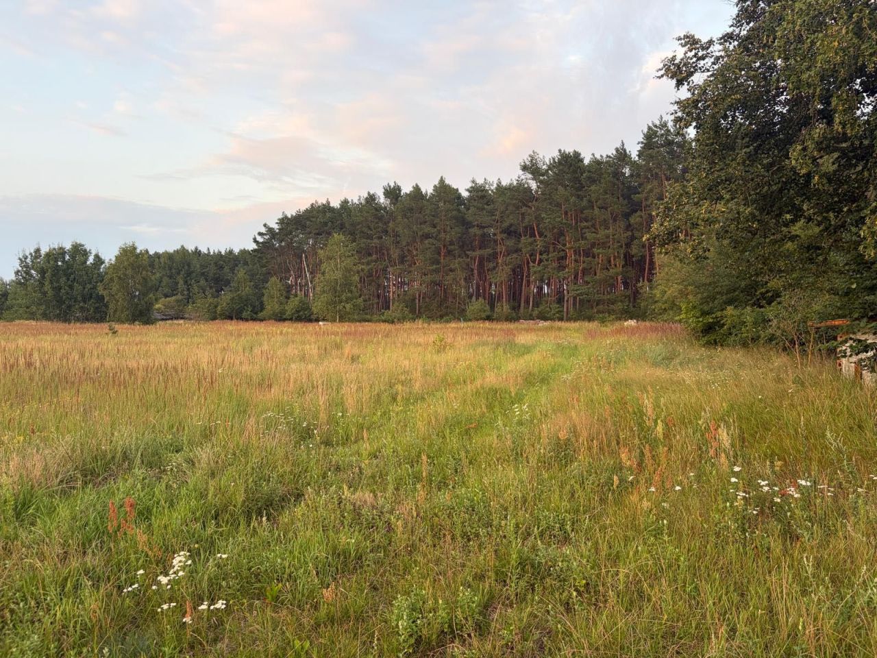 Działka rolno-budowlana Podlesie. Zdjęcie 3