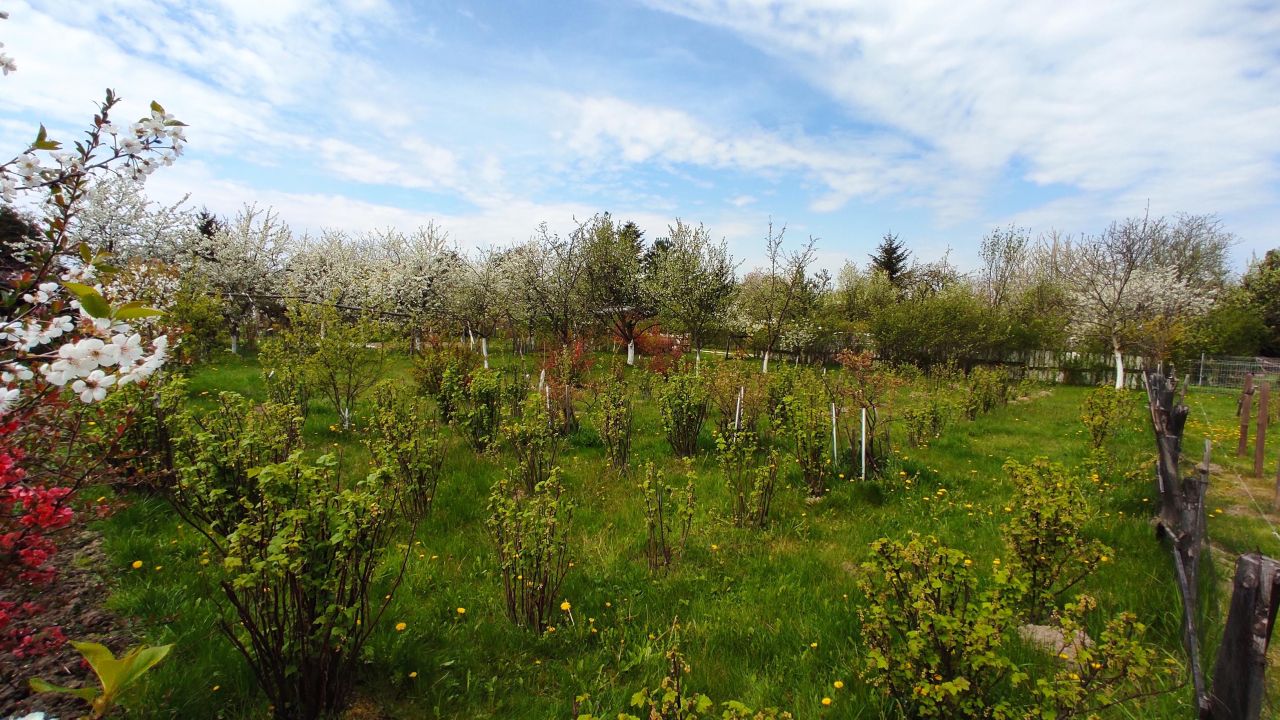 Działka rod Radom Potkanów, ul. Żelazna. Zdjęcie 3