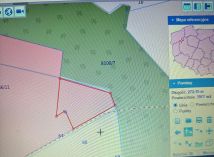 Działka rolna Strzaliny. Zdjęcie 1