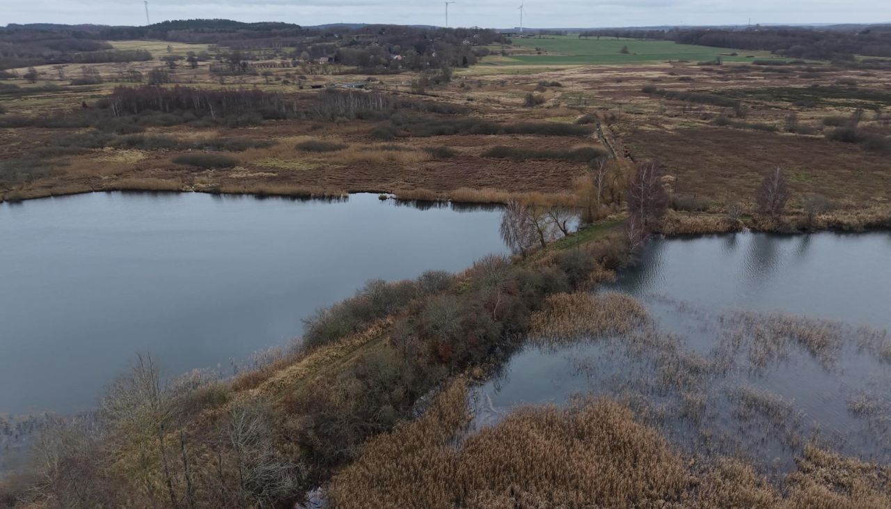 Działka rolna Grabowo. Zdjęcie 4
