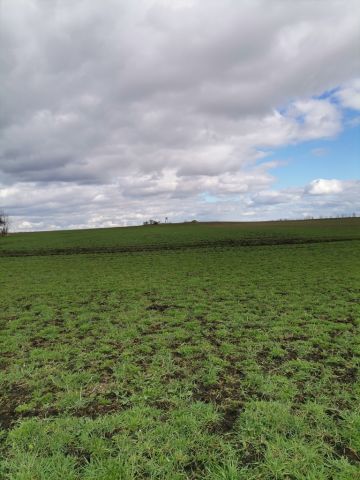 Działka rolna Będargowo. Zdjęcie 4