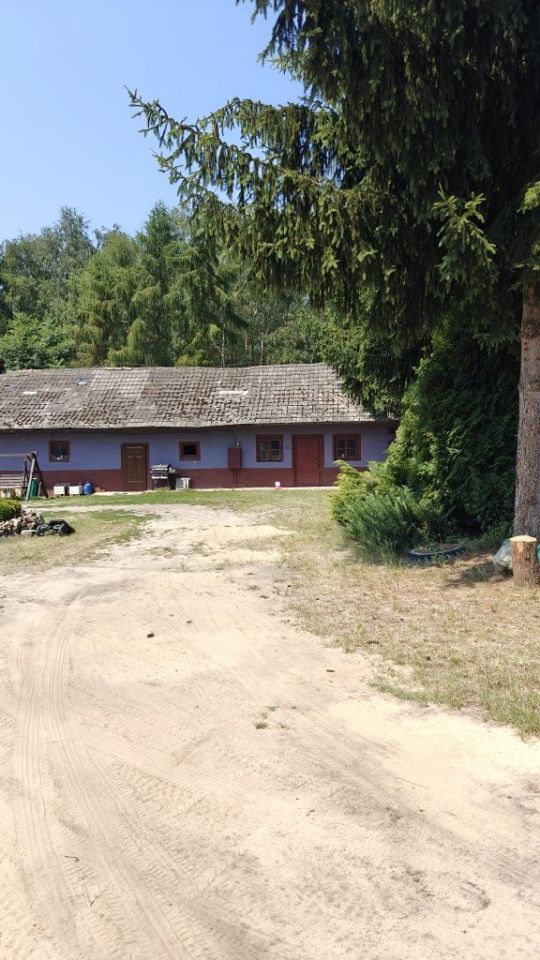 Działka rolno-budowlana Mstyczów. Zdjęcie 7