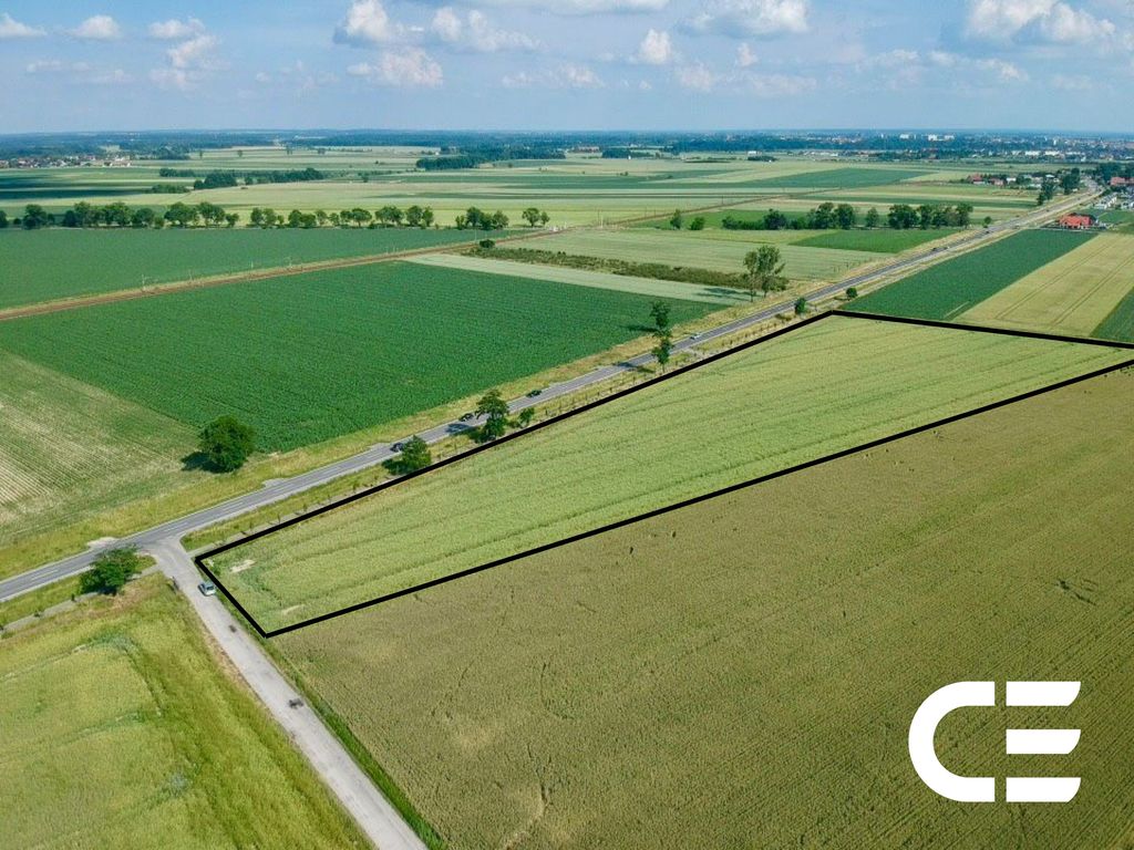Działka inwestycyjna Nowosiedlice. Zdjęcie 3