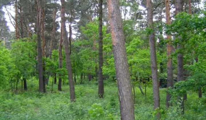 Działka budowlana Warszawa Wesoła