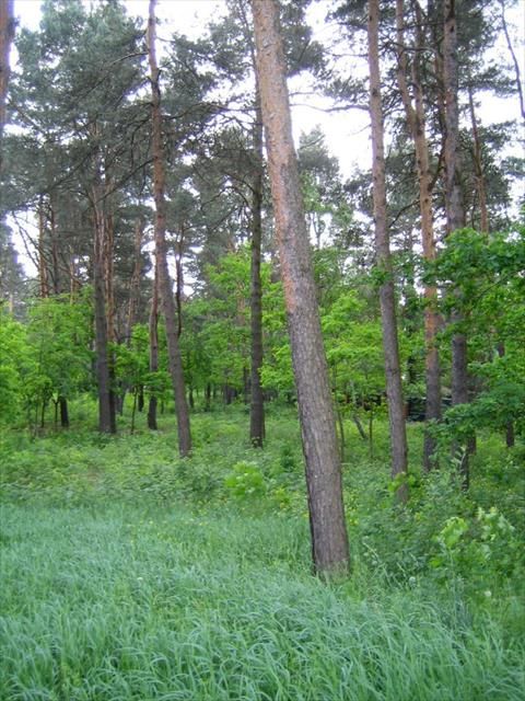 Działka na sprzedaż
Wesoła
Warszawa