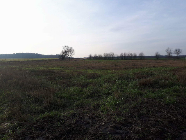Działka rolno-budowlana Dąbrowa Bliżewo. Zdjęcie 1