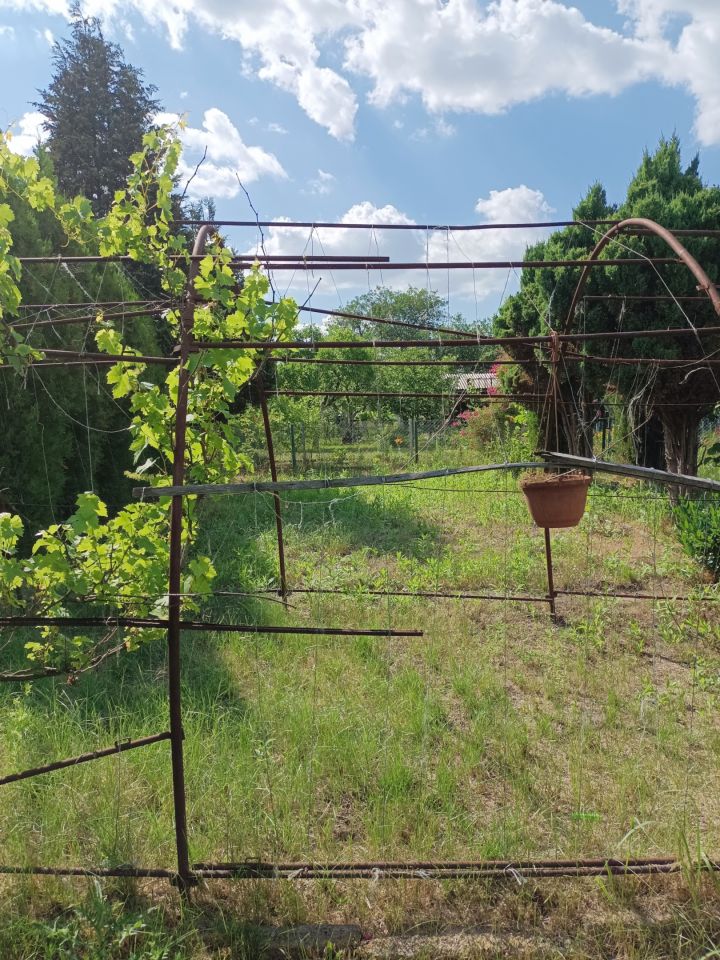 Działka rod Wrocław Klecina, al. Karkonoska. Zdjęcie 4