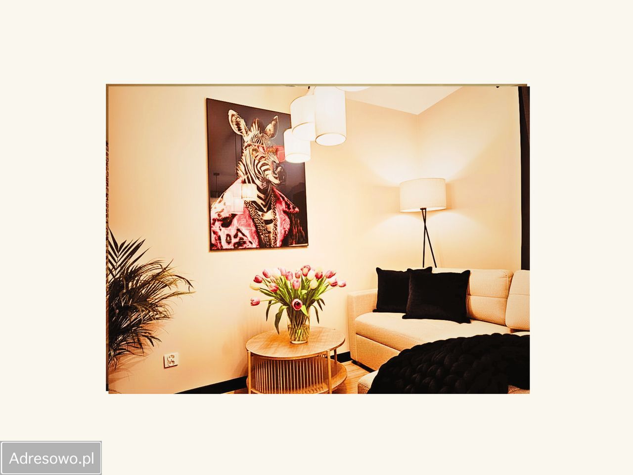 Mieszkanie 1-pokojowe Katowice Wełnowiec, ul. Bytkowska. Zdjęcie 2