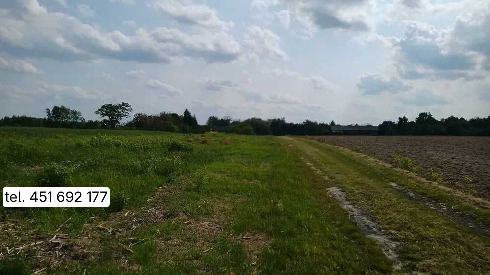 Działka budowlana Leśniczówka. Zdjęcie 7