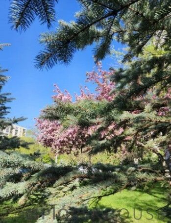 Mieszkanie 2-pokojowe Warszawa Targówek, ul. Rembielińska. Zdjęcie 14