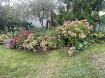 Działka rod Gdańsk Morena, ul. Nowolipie. Zdjęcie 4