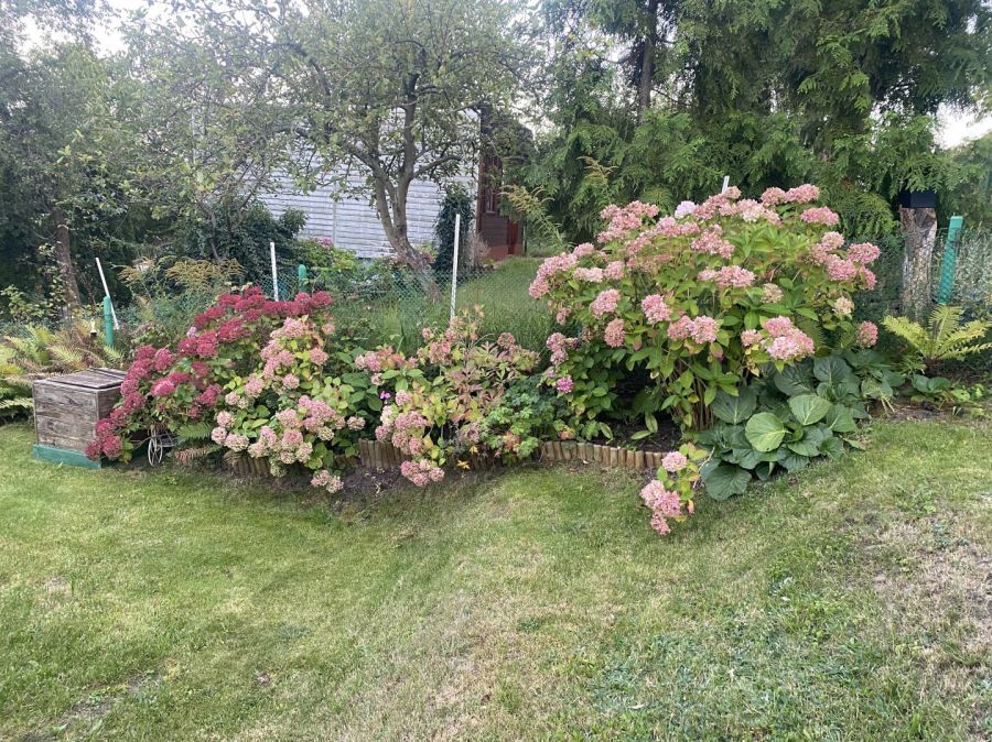 Działka rod Gdańsk Morena, ul. Nowolipie. Zdjęcie 5