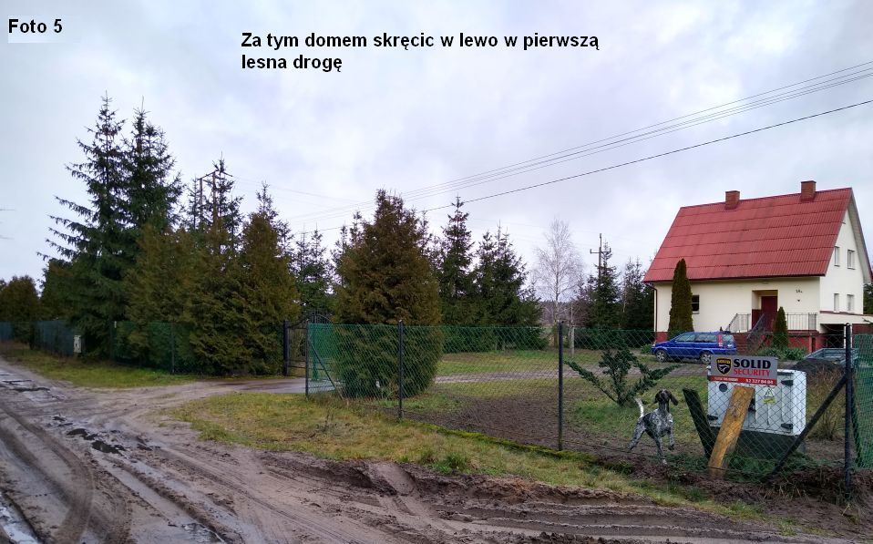 Działka budowlana Wielki Sosnowiec. Zdjęcie 8