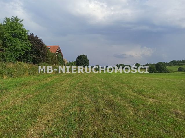 Działka rolna Różnowo. Zdjęcie 2