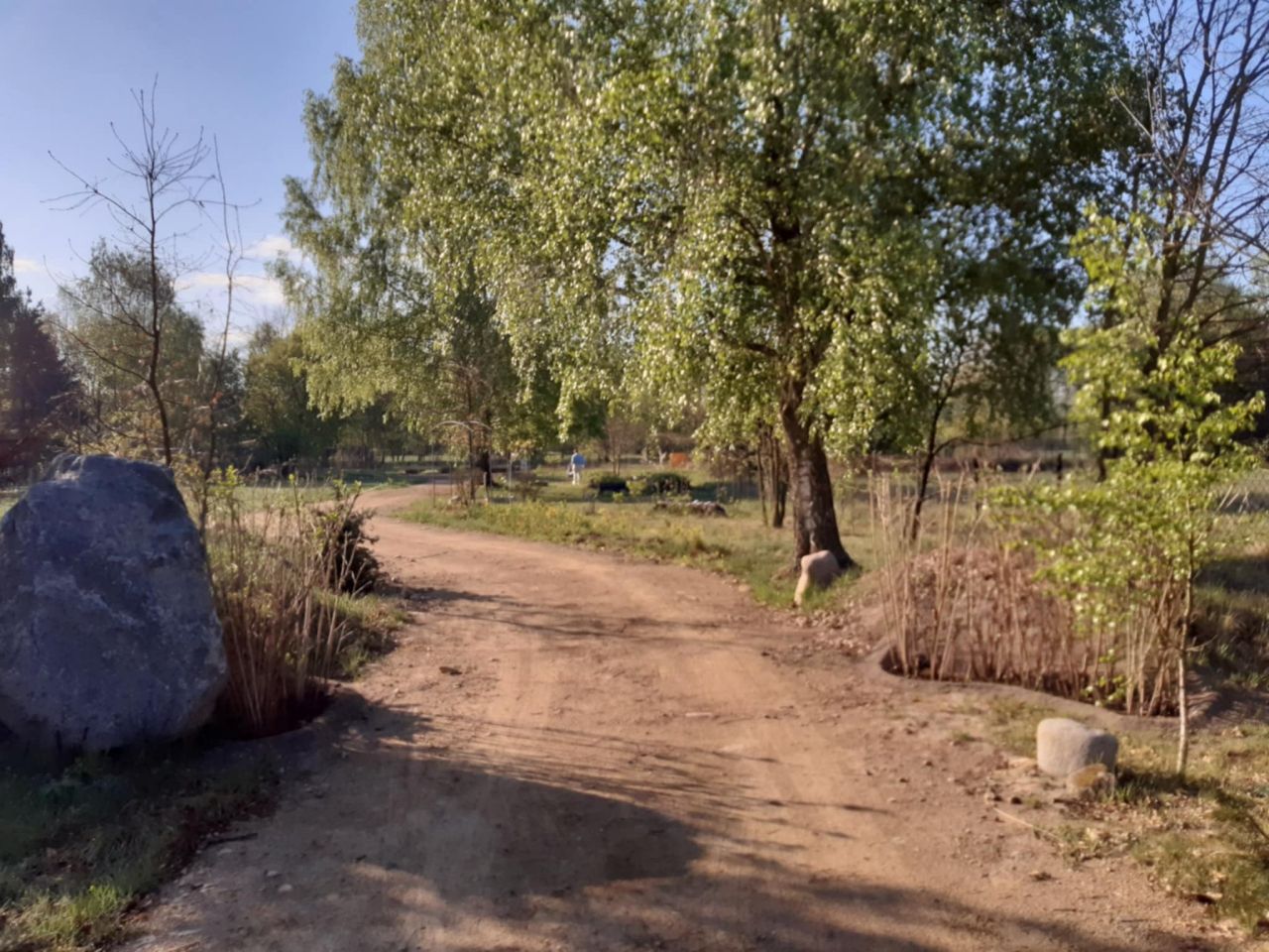 Działka budowlana Podbiel Krupińskie, Sosnowa. Zdjęcie 15