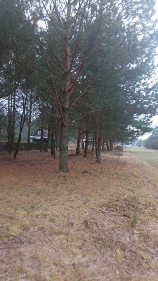 Działka rekreacyjna Ponikiew. Zdjęcie 6