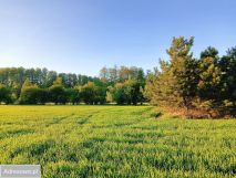 Działka budowlana Cykowo. Zdjęcie 3